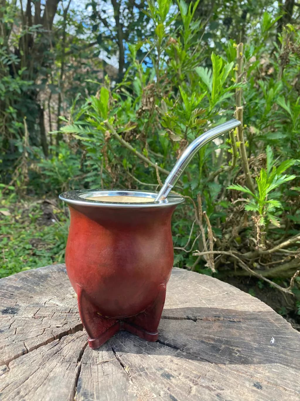 Mate Camionero de Calabaza - Marrón