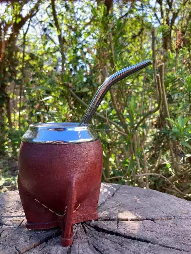 Mate Torpedo Interior Calabaza - Marrón